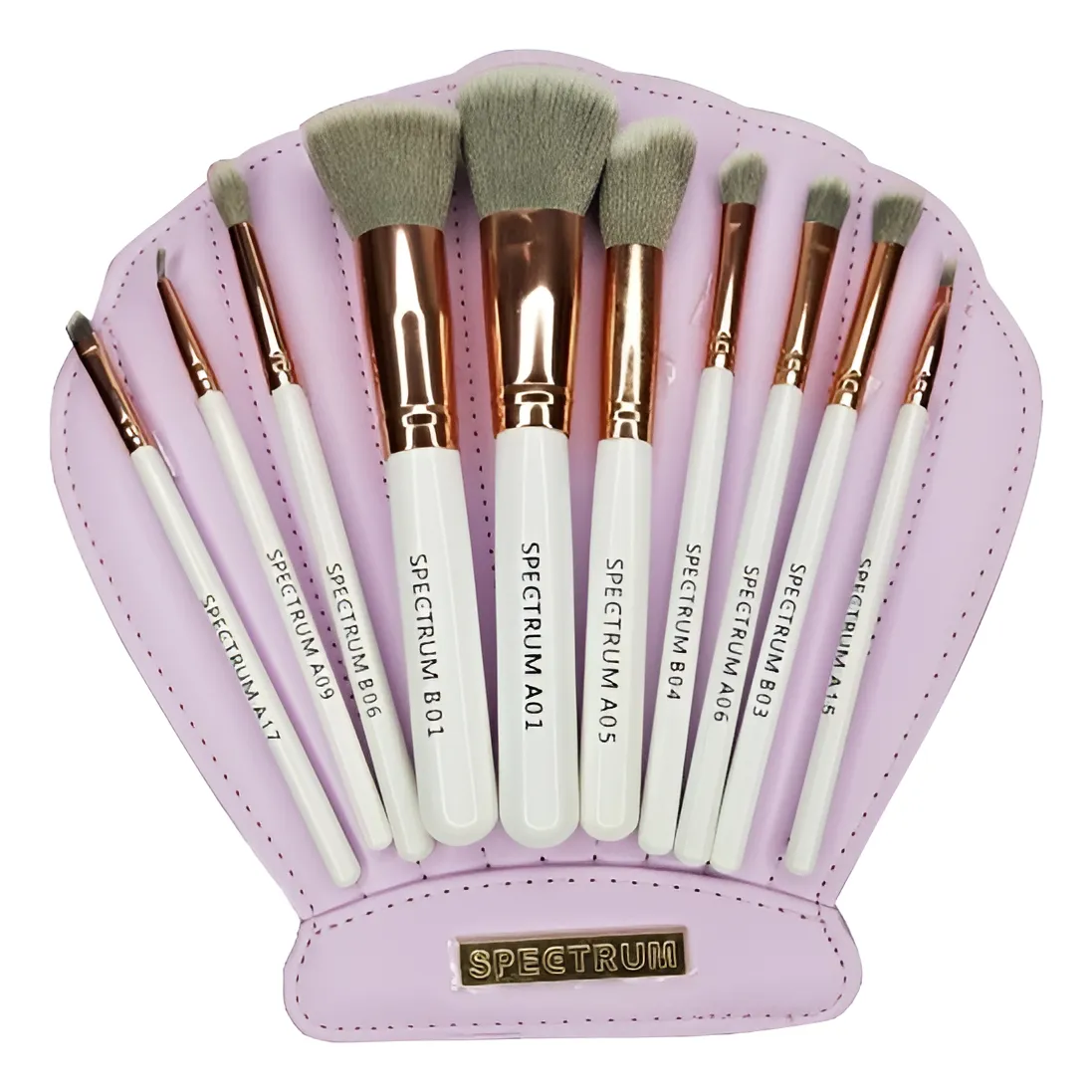 Set Brochas Concha, Almeja Para Maquillaje